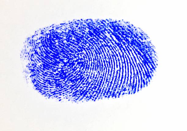 istock Close-Up Of Blue Thumb Print On White Background 1156684744
