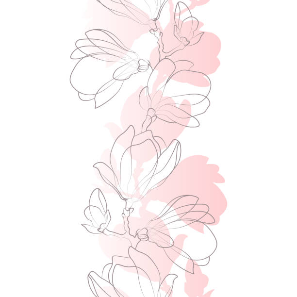 Seamless pattern of outlined magnolia flowers Gray line sketch on pastel pink gradient silhouette. Vector illustration background of flowery stock illustrations