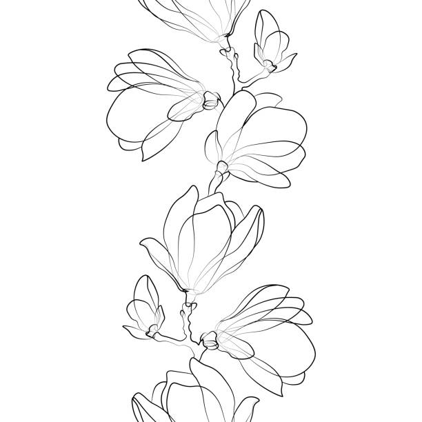 ilustraciones, imágenes clip art, dibujos animados e iconos de stock de patrón sin costuras de flores de magnolia esbozadas - magnolia bloom