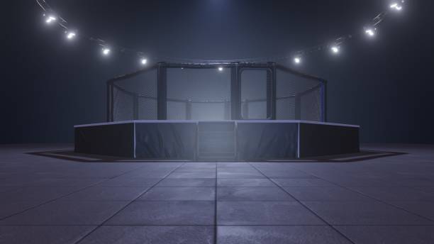 mma arena. gabbia da combattimento vuota sotto le luci. rendering 3d - ultimate fighting foto e immagini stock