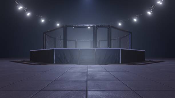 Mma arena. Empty fight cage under lights. 3D rendering
