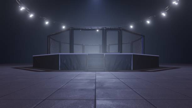 mma arena. empty fight cage under lights. 3d rendering - confined space flash imagens e fotografias de stock