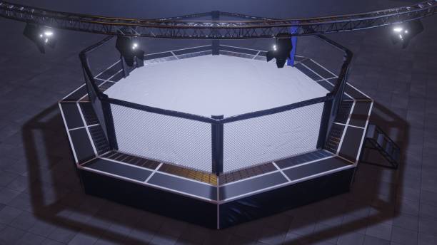 istock Mma arena. Empty fight cage under lights. 3D rendering 1156692124