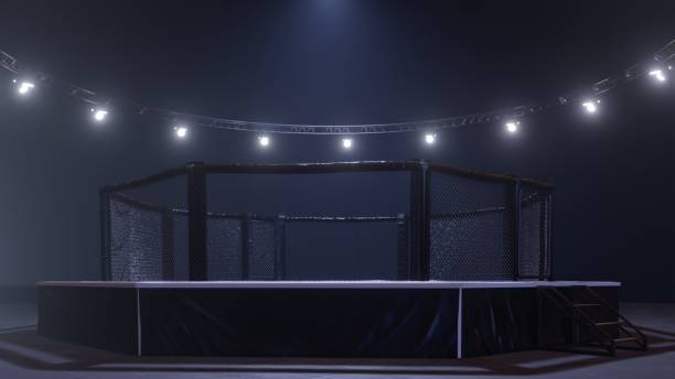 istock Mma arena. Empty fight cage under lights. 3D rendering 1156692131