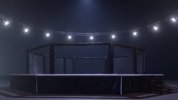 mma arena. empty fight cage under lights. 3d rendering - confined space flash imagens e fotografias de stock