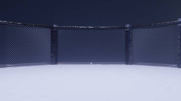 Mma arena side view. Empty fight cage under lights. 3D rendering