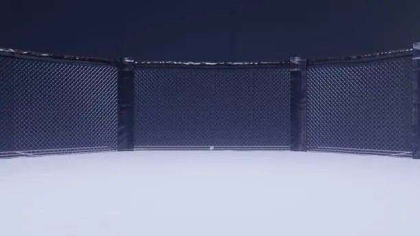 A 3d render of MMA arena fight cage under floodlights.