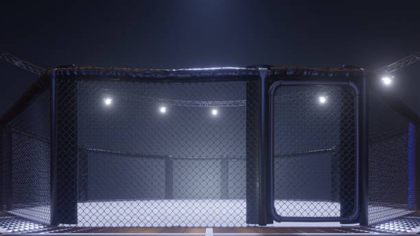 istock Mma arena side view. Empty fight cage under lights. 3D rendering 1156692134
