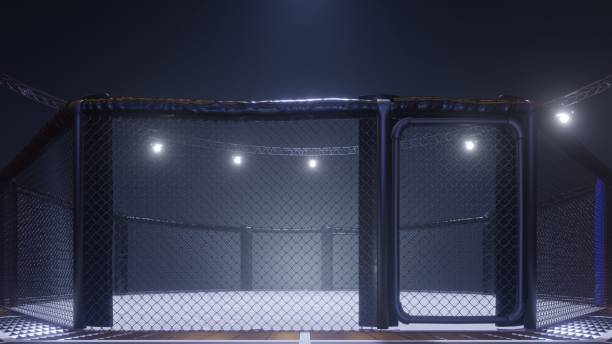 mma arena side view. empty fight cage under lights. 3d rendering - confined space flash imagens e fotografias de stock