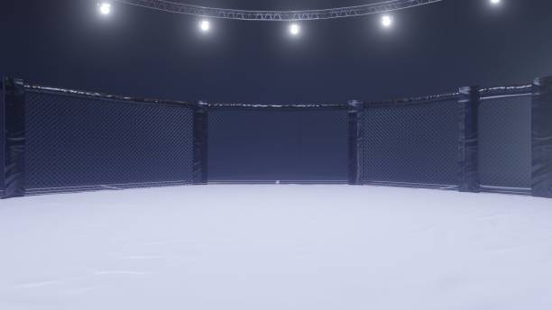 istock Mma arena side view. Empty fight cage under lights. 3D rendering 1156692135
