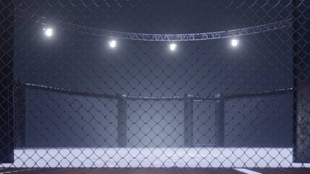 istock Mma arena side view. Empty fight cage under lights. 3D rendering 1156692137