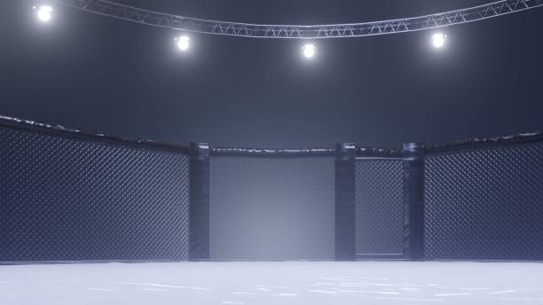 istock Mma arena side view. Empty fight cage under lights. 3D rendering 1156692144