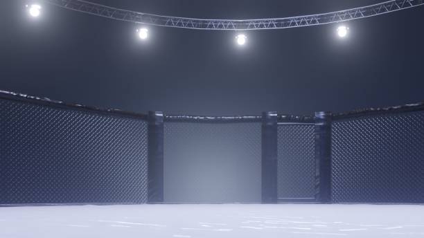 mma arena side view. empty fight cage under lights. 3d rendering - confined space flash imagens e fotografias de stock