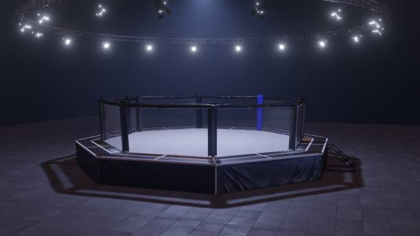 Mma arena. Empty fight cage under lights. 3D rendering