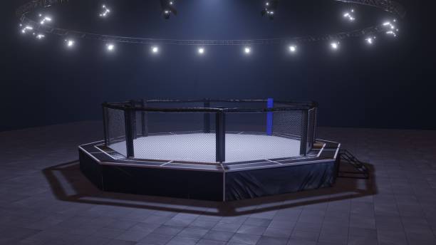 mma arena. empty fight cage under lights. 3d rendering - confined space flash imagens e fotografias de stock