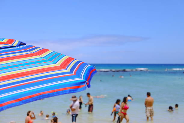istock hawaii Oahu hanauma bay  palm trees and blue sky 1156692168