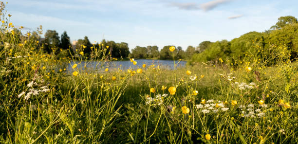 istock Hill by the lake. Meadow by the river. 1156698142