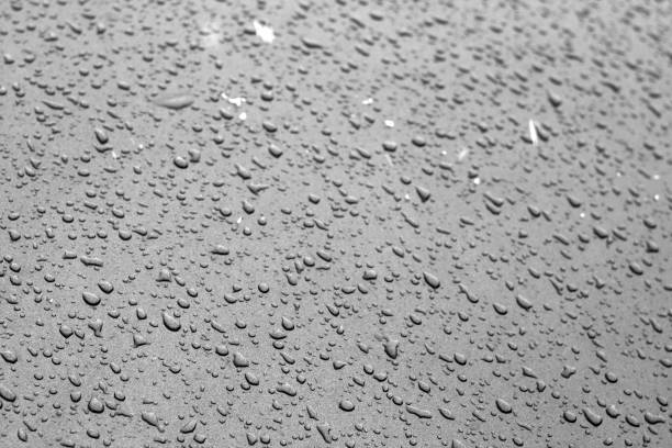istock Water drops on car surface in black and white. 1156699508
