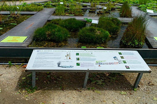 The free to enter Botanical Gardens Bordeaux, France.  There is a sign giving details of the plants in the garden with water lilies behind it.