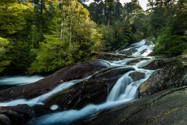 Woman standing with arms raised, celebrating reaching a beautiful waterfall during a hike in nature