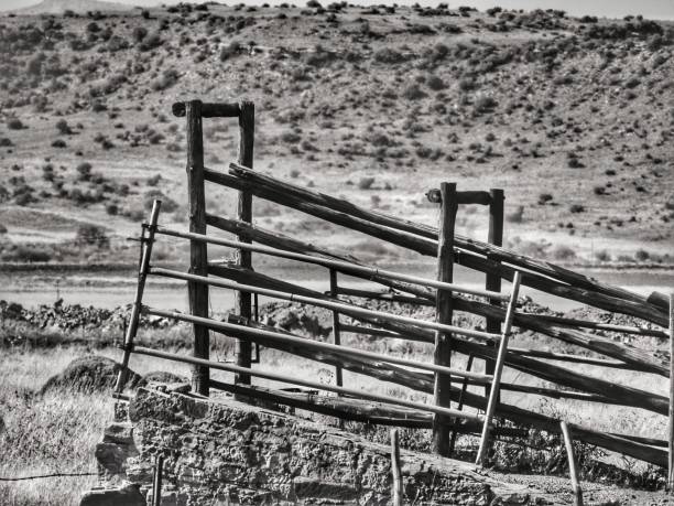 istock View of the field 1156709047
