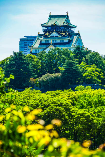 bild von osaka castle - 11892 stock-fotos und bilder