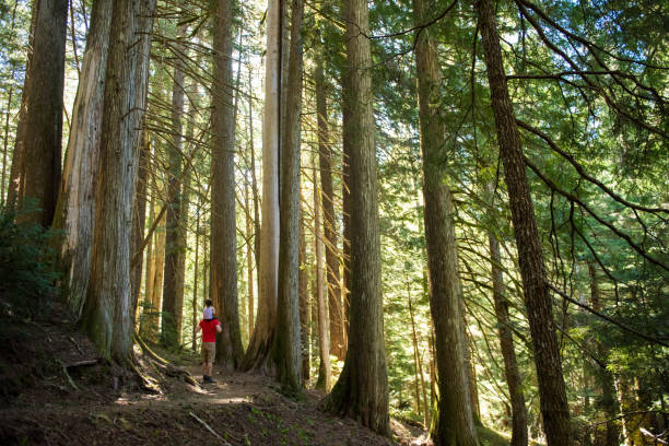 istock Father and daughter bonding in nature 1156711500