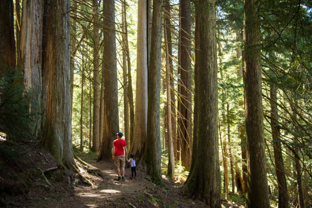 istock Father and daughter bonding in nature 1156711505