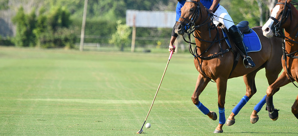 The polo horse sport player hit a polo ball with a mallet in match.