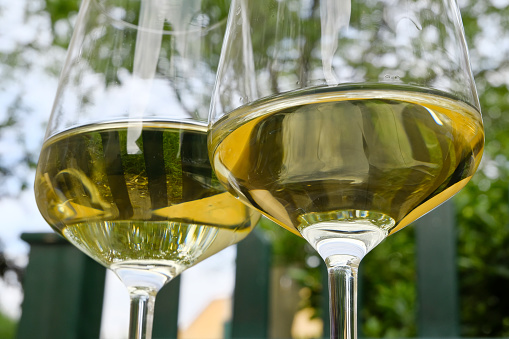 „Gemütlich beim Heurigen“ - Two glass off white wine in the garden. Vienna, Austria