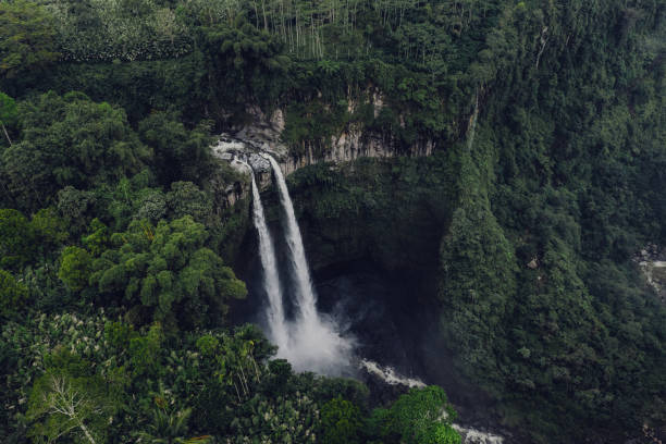 istock Scenic aerial view of Madakaripura waterfall on Java 1156721309