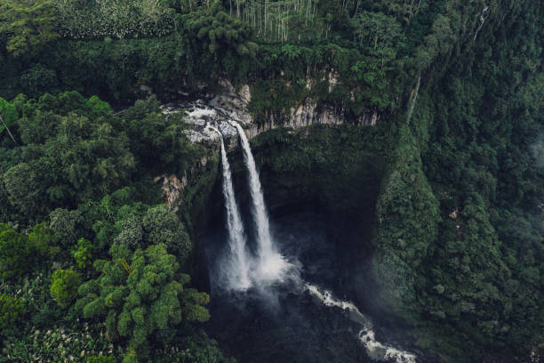 istock Scenic aerial view of Madakaripura waterfall on Java 1156721320