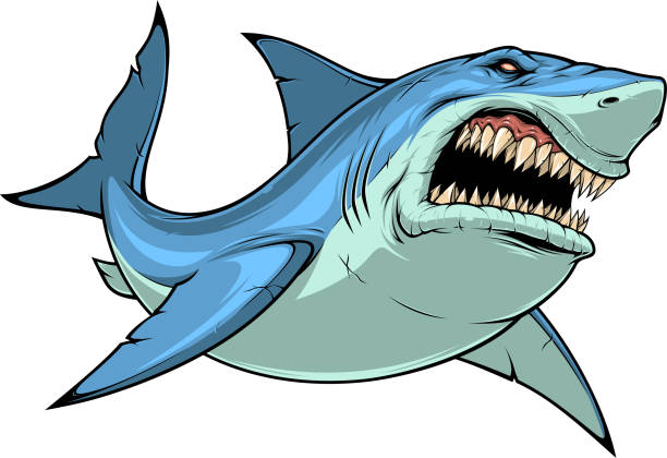 ilustraciones, imágenes clip art, dibujos animados e iconos de stock de ataques de tiburones feroces - shark animal blue cartoon