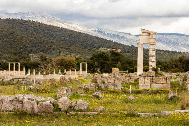 świątynia epidaurus, grecja - epidaurus greece epidavros amphitheater zdjęcia i obrazy z banku zdjęć