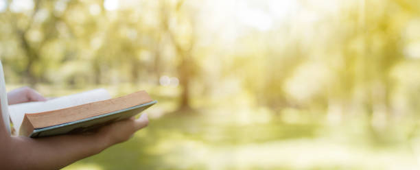 istock Read and knowledge concept, hand holding book on soft green park banner background 1156723119