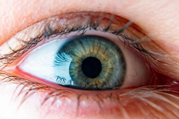 istock close up macro eye of an attractive man b 1156726248