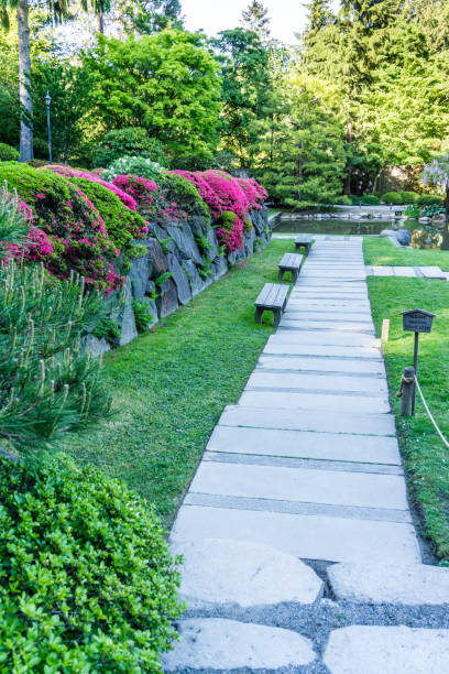 istock Flower Garden Sidewalk 1156731151