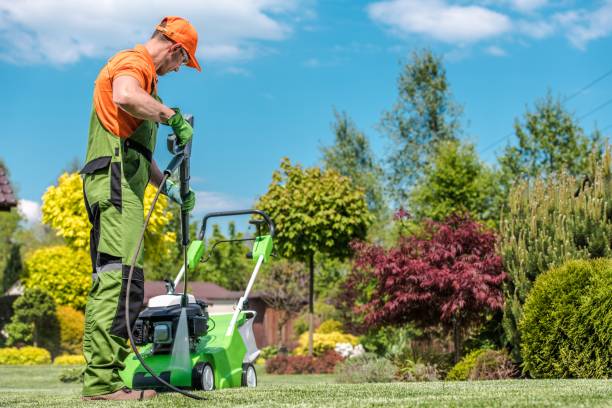 istock Gardening Equipment Cleaning 1156731615