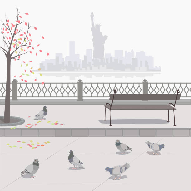 illustrazioni stock, clip art, cartoni animati e icone di tendenza di colombe sull'argine. autunno a new york. - new york rain