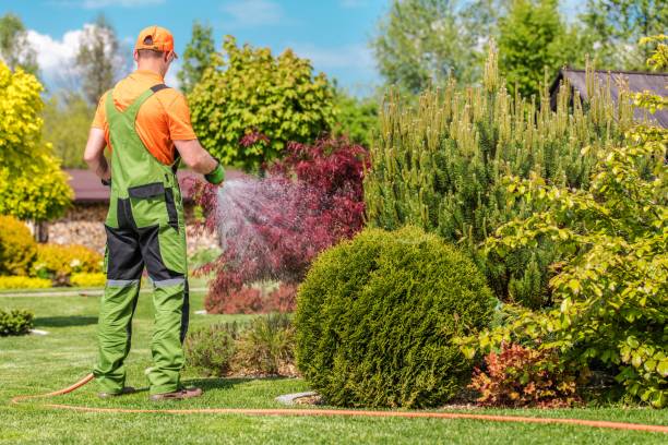 istock Men Watering Garden Plants 1156733119