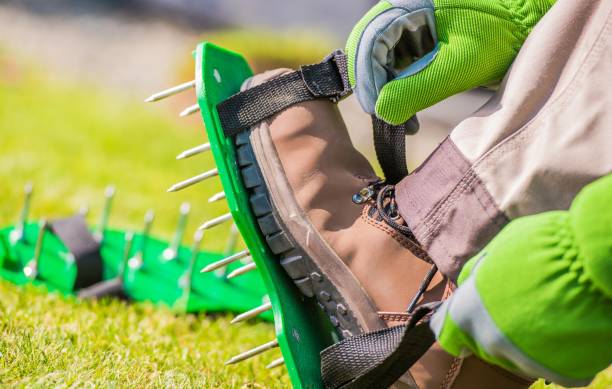 Spiked Aerator Shoes Spiked Aerator Shoes. Men Aerating His Lawn Strapping on These Spiked Shoes and Taking a Stroll Across His Yard. Grass Field Aeration spiked stock pictures, royalty-free photos & images