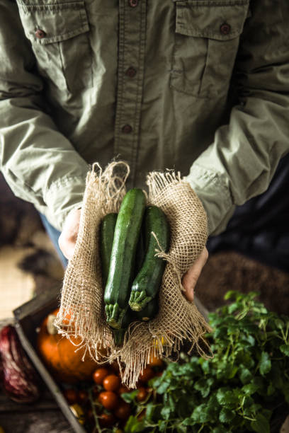 istock Organic vegetables on wood 1156740685