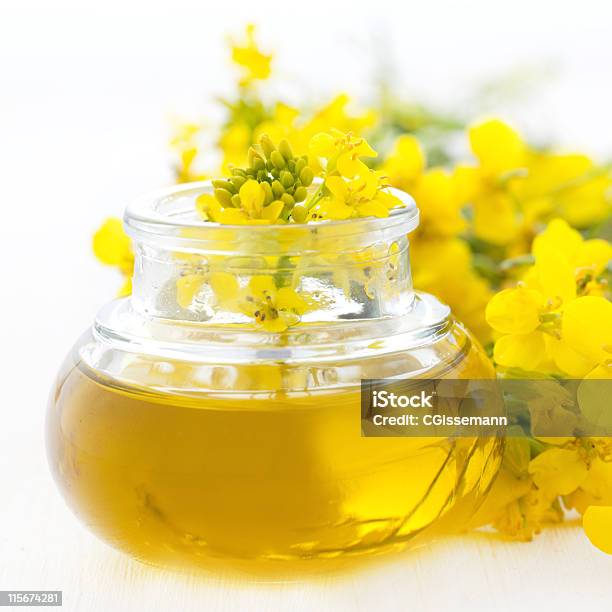 Fresh Rapeseed Oil Stock Photo - Download Image Now - Canola Oil, Blossom, Bottle