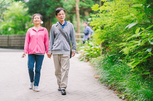 A senior married couple is walking in nature hand in hand.