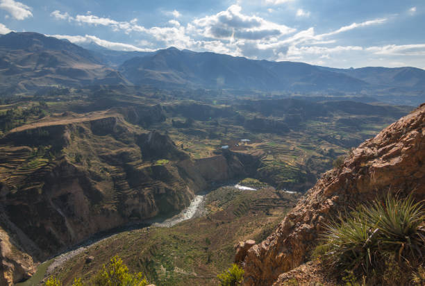 istock Colca Canyon, Arequipa, Peru 1156743624