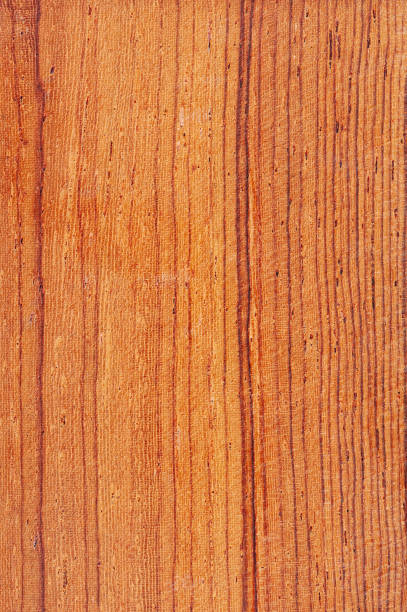 istock White rosewood tree wood 1156751482