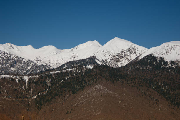 istock Sochi. Beautiful vacation in the mountains. 1156751875