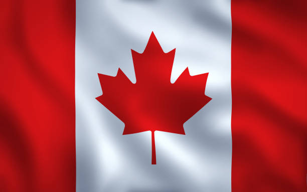 kanadyjska flaga obraz pełnoklatkowy - canada canadian culture leaf maple zdjęcia i obrazy z banku zdjęć