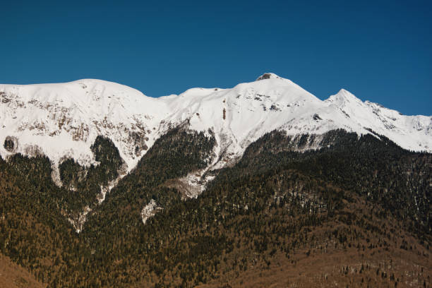 Sochi. Beautiful vacation in the mountains.