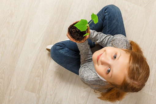Top view of a child sitting on the floor and holding a young plant. The little girl is looking at the camera. The concept of ecology, nature, care.